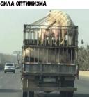 Прикрепленное изображение: LVWQXHZzcMc.jpg