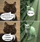 Прикрепленное изображение: IMG-20200622-WA0000.jpg