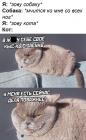 Прикрепленное изображение: У кота есть дела поважнее.jpg