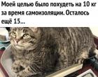 Прикрепленное изображение: Похудеть на 10 кг.jpg