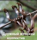 Прикрепленное изображение: 187288047_2962380560752964_8183931026476895694_n.jpg