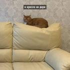 Прикрепленное изображение: photo_2021-05-25_22-20-24.jpg