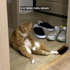 Прикрепленное изображение: photo_2021-05-25_22-20-23.jpg