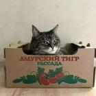 Прикрепленное изображение: photo_2021-06-06_09-44-03.jpg