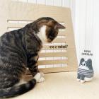 Прикрепленное изображение: photo_2021-05-31_13-25-37.jpg