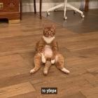 Прикрепленное изображение: photo_2021-05-25_22-20-25.jpg