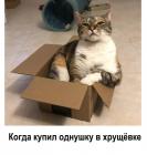 Прикрепленное изображение: Котик купил однушку.jpg