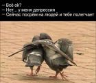 Прикрепленное изображение: Сейчас посрем на людей.jpg