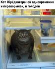 Прикрепленное изображение: Кот Жрёдингера.jpg