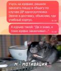 Прикрепленное изображение: Юрфак заканчивал.jpg