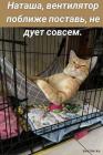 Прикрепленное изображение: 1717840258.jpg