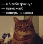 Прикрепленное изображение: Я бы тебя трахнул.jpg