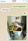 Прикрепленное изображение: Кот выбросился.jpg