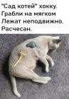 Прикрепленное изображение: Хокку 1.jpg