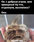 Прикрепленное изображение: С добрым утром моя принцесса.jpg