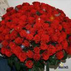 Прикрепленное изображение: 6dfc076f271f_jpeg.gif