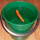 Прикрепленное изображение: image.jpeg