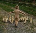 Прикрепленное изображение: 1a8VXL-HnSQ_1.jpg