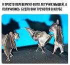 Прикрепленное изображение: Er6oZz8SKOg.jpg