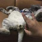 Прикрепленное изображение: image.jpeg