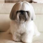 Прикрепленное изображение: 052674824d.jpg