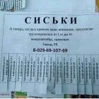Прикрепленное изображение: сиськи.jpg