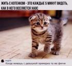 Прикрепленное изображение: ZtlMN853Uz8.jpg