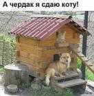 Прикрепленное изображение: 1593590952.jpg