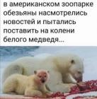 Прикрепленное изображение: 1593682241.jpg