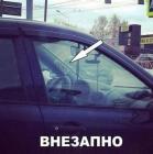 Прикрепленное изображение: Женское вождение.jpg