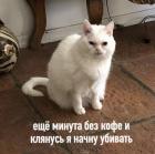 Прикрепленное изображение: Без кофе начну убивать.jpg