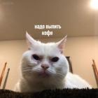 Прикрепленное изображение: Надо выпить кофе.jpg