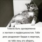 Прикрепленное изображение: 218957777_367197664835058_2267528629527048604_n.jpg