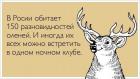 Прикрепленное изображение: Олени в клубе.jpg