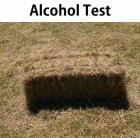 Прикрепленное изображение: 214275249_879126722709813_5724809182296684099_n_16-54-31.jpg