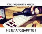 Прикрепленное изображение: Как пережить жару.jpg