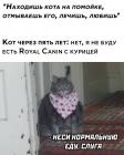 Прикрепленное изображение: Котик не будет есть.jpg