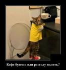 Прикрепленное изображение: Котик варит кофе.jpg