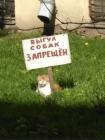 Прикрепленное изображение: Одиночный пикет.jpg