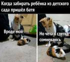 Прикрепленное изображение: Батя забирает ребенка.jpg