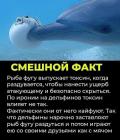 Прикрепленное изображение: Рыба фугу выпускает токсин.jpg