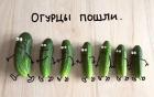 Прикрепленное изображение: 362985586_186142247782646_3107812171240080964_n.jpg