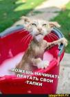 Прикрепленное изображение: 1688156225.jpg