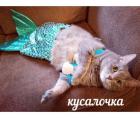 Прикрепленное изображение: Кусалочка.jpg