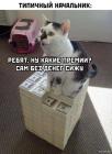 Прикрепленное изображение: 1722069482.jpg