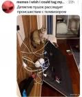 Прикрепленное изображение: 1722069410.jpg