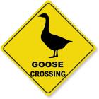 Прикрепленное изображение: 51Et0ejNTiL._AC_SX679_.jpg