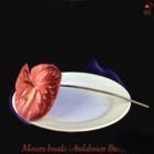 Прикрепленное изображение: cover.jpg