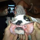 Прикрепленное изображение: RRne5NUwPl4.jpg