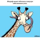 Прикрепленное изображение: q0TgfO6ZVbY.jpg